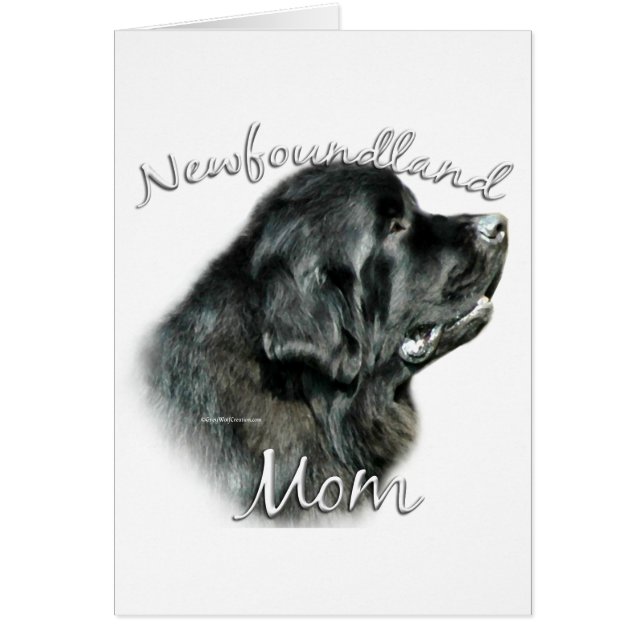Newfoundland (blk) Moeder 2 (Voorkant)