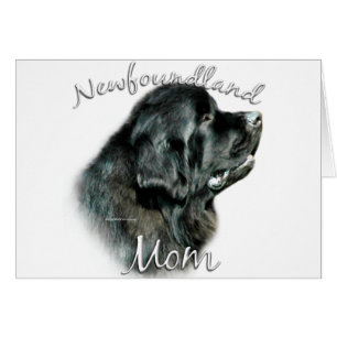 Newfoundland (blk) Moeder 2