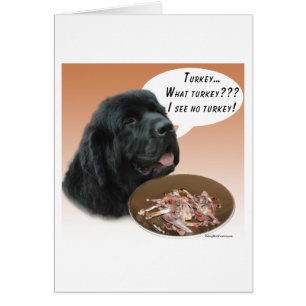 Newfoundland (BLK) Turkije