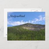 Newfoundland Briefkaart (Voorkant / Achterkant)