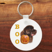 Newfoundland (bruin) Boo Sleutelhanger (Voorkant)
