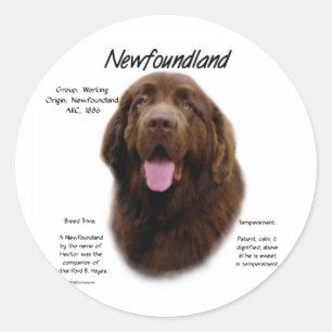 Newfoundland (Bruin) Geschiedenis Ontwerp Ronde Sticker
