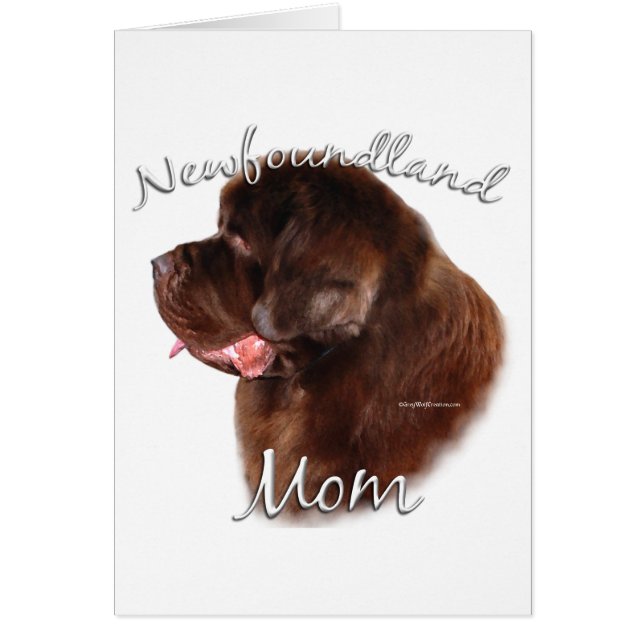 Newfoundland (bruin) mam 2 (Voorkant)