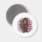 Newfoundland (bruin) Patriot Magneet (Voorkant / Achterkant)