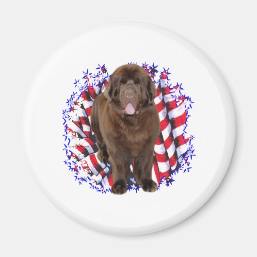 Newfoundland (bruin) Patriot Magneet (Voorkant)