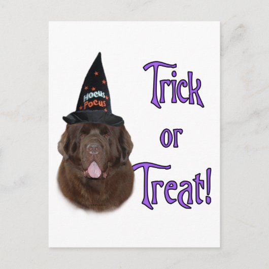 Newfoundland (bruin) Trick Briefkaart (Voorkant)