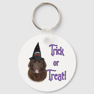 Newfoundland (bruin) Trick Sleutelhanger