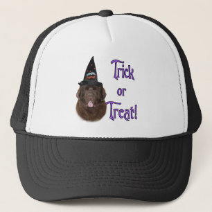 Newfoundland (bruin) Trick Trucker Pet