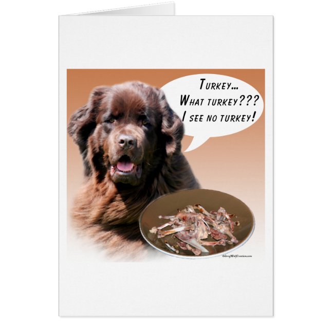 Newfoundland (bruin) Turkije (Voorkant)
