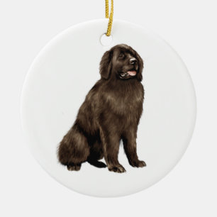 Newfoundland - bruin zit keramisch ornament