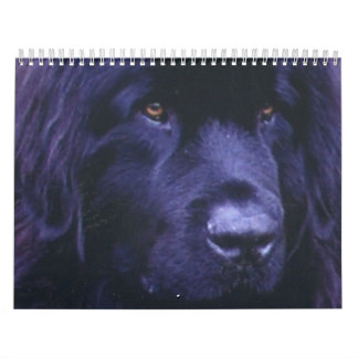 Newfoundland Calendar Kalender