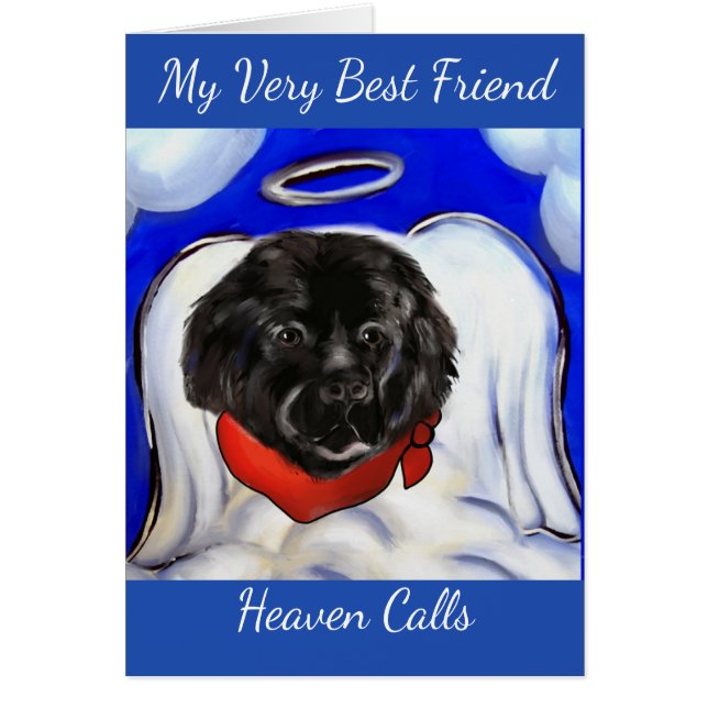 Newfoundland Dog (Voorkant)