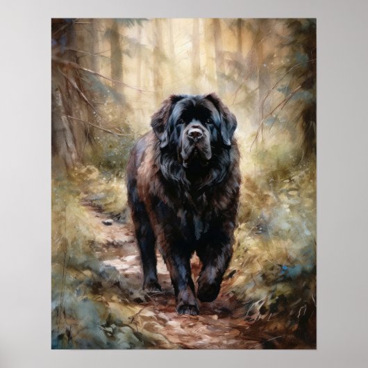Newfoundland Dog Art Print Poster (Voorkant)