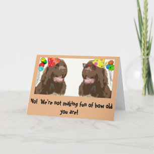 Newfoundland Dog Birthday humor Kaart