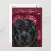 Newfoundland Dog Briefkaart (Voorkant / Achterkant)