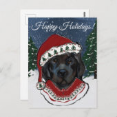 Newfoundland Dog Briefkaart (Voorkant / Achterkant)