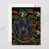 Newfoundland Dog Briefkaart (Voorkant / Achterkant)