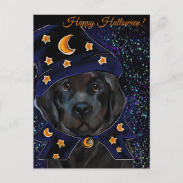 Newfoundland Dog Briefkaart