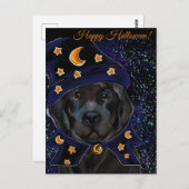 Newfoundland Dog Briefkaart (Voorkant / Achterkant)