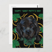 Newfoundland Dog Briefkaart (Voorkant / Achterkant)