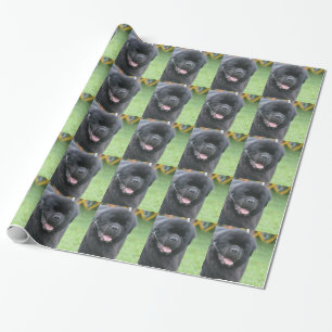 Newfoundland Dog Cadeaupapier