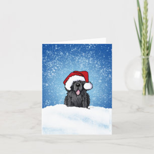 Newfoundland Dog Christmas Kaart