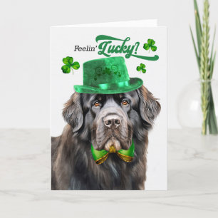 Newfoundland Dog Feelin' Lucky St Patrick's Day Feestdagen Kaart