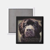 Newfoundland dog fridge magnet magneet (Voorkant / Achterkant)