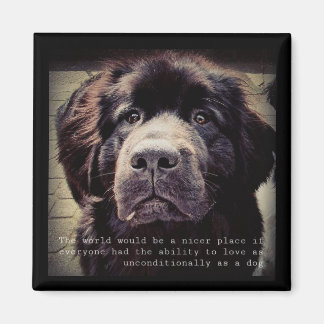 Newfoundland dog fridge magnet magneet