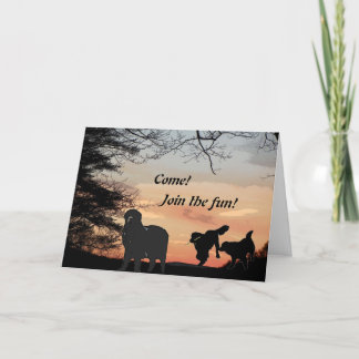 Newfoundland Dog Fun Uitnodiging