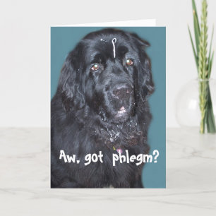 Newfoundland Dog Get well Card Kaart
