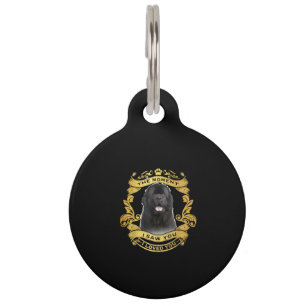 Newfoundland Dog Het Moment Dat Ik Jou Zag Ontwe Huisdierpenning