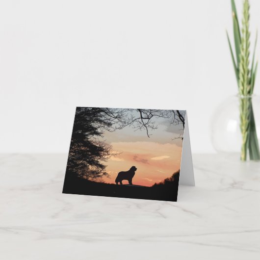 Newfoundland Dog Kaart (Voorkant)