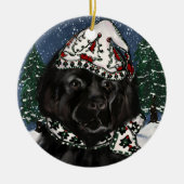 Newfoundland Dog Keramisch Ornament (Voorkant)