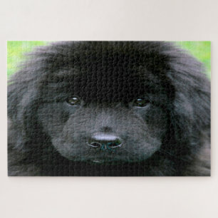 Newfoundland Dog. Legpuzzel