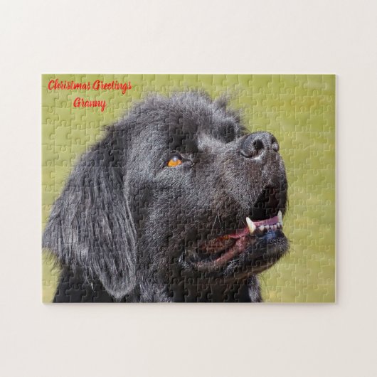 Newfoundland Dog. Legpuzzel (Horizontaal)
