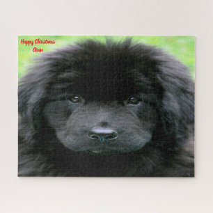 Newfoundland Dog. Legpuzzel