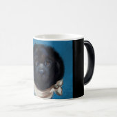 Newfoundland Dog Magische Mok (Voorkant rechts)