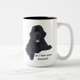 Newfoundland Dog Mok