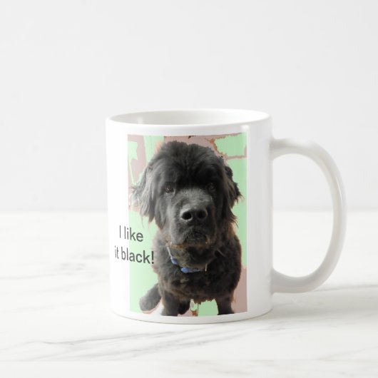 Newfoundland Dog Mok (Rechts)