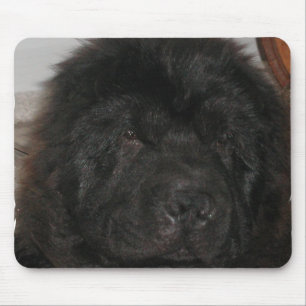 Newfoundland Dog Muismat