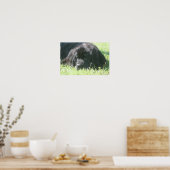 Newfoundland Dog Photo Print (Keuken)