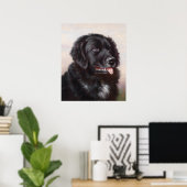 Newfoundland Dog Portrait Poster (Thuiskantoor)
