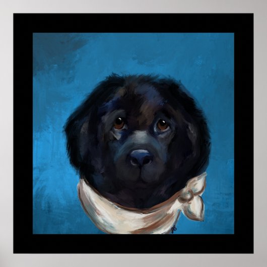 Newfoundland Dog Poster (Voorkant)