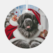 Newfoundland Dog Santa Glas Ornament (Achterkant)
