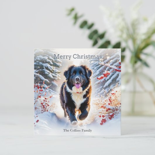 Newfoundland Dog Snow Scene Waterverf Kerst Feestdagenkaart (Staand voorkant)