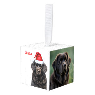Newfoundland Dog Two Photo Kerstmis Holiday Kubus Ornament
