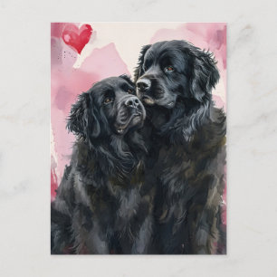 Newfoundland dog Valentijnsdag Briefkaart