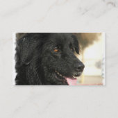 Newfoundland Dog Visitekaartje (Achterkant)