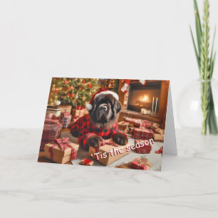 Newfoundland Dog Wrapping Gifts Christmas Kaart